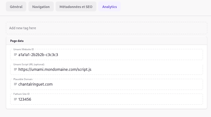 Capture d’écran de l’onglet « Analyics » des réglages du site. Capture d’écran de l’onglet « Analyics » des réglages du site.